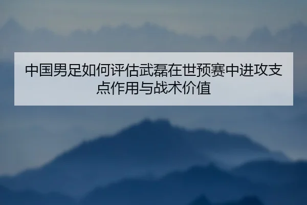 中国男足如何评估武磊在世预赛中进攻支点作用与战术价值